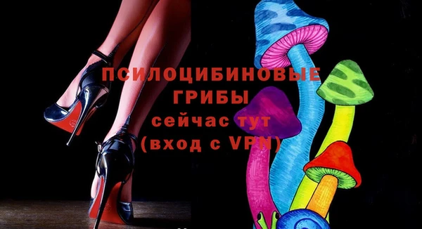 сатива Белоозёрский