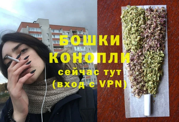 сатива Белоозёрский
