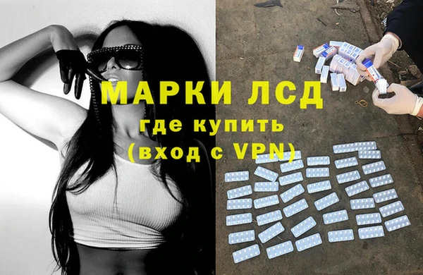 сатива Белоозёрский